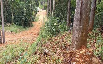 Residential Land for Sale in Idukki, Nedumkandam, Thokkupalam