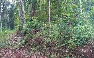 Residential Land for Sale in Idukki, Nedumkandam, Thokkupalam
