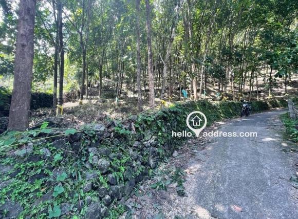 കൃഷി ഭൂമി വില്പനയ്ക്ക് 