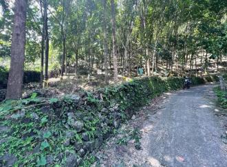 കൃഷി ഭൂമി വില്പനയ്ക്ക് 