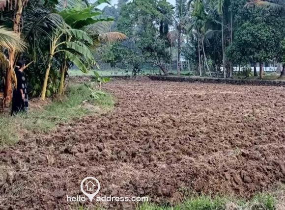 Agricultural Land for Sale