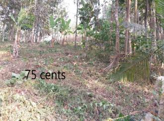 വാസയോഗ്യമായ ഭൂമി വില്പനയ്ക്ക് Trivandrum, Thiruvananthapuram, Mylam