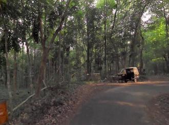 Agricultural Land for Sale in Idukki, Thodupuzha, Thodupuzha town