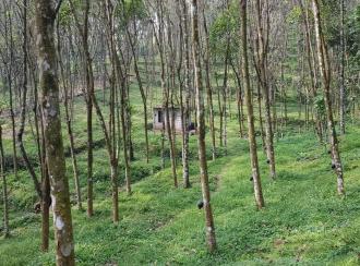 Agricultural Land for Sale in Idukki, Thodupuzha, Thodupuzha town