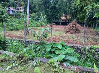 Residential Land for Sale in Pathanamthitta, Pathanamthitta, Vettipuram, Thazhe Vettipuram