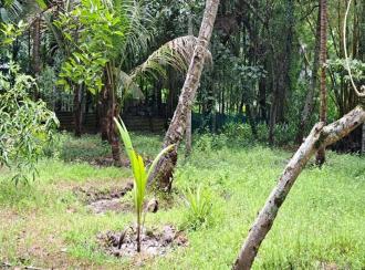 Residential Land for Sale in Alleppey, Mavelikara, Chettikulangara