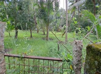Residential Land for Sale in Alleppey, Mavelikara, Chettikulangara