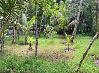 Residential Land for Sale in Alleppey, Mavelikara, Chettikulangara