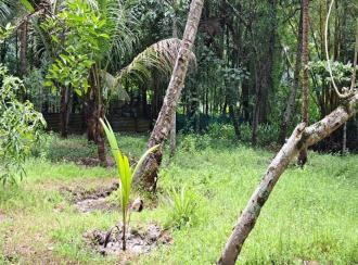Residential Land for Sale in Alleppey, Mavelikara, Chettikulangara