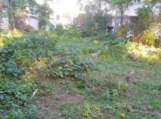 Residential Land for Sale in Kollam, Kollam, Ramankulangara