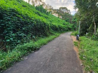 Residential Land for Sale in Kottayam, Karukachal, Nedumkunnam