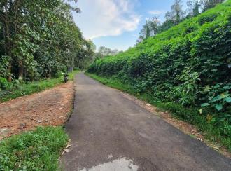 Residential Land for Sale in Kottayam, Karukachal, Nedumkunnam