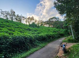 Residential Land for Sale in Kottayam, Karukachal, Nedumkunnam