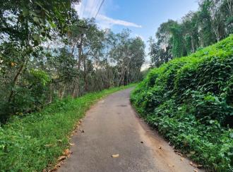 Residential Land for Sale in Kottayam, Karukachal, Nedumkunnam