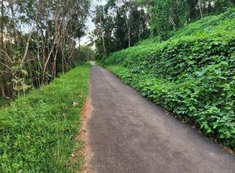 Residential Land for Sale in Kottayam, Karukachal, Nedumkunnam
