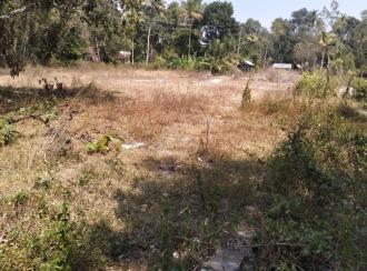 Residential Land for Sale in Alleppey, Mararikulam, Mararikulam