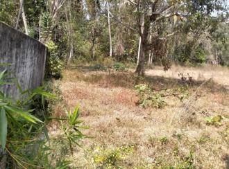 Residential Land for Sale in Alleppey, Mararikulam, Mararikulam, Mararikkulam -Kanichukulangara Road Bus rout
