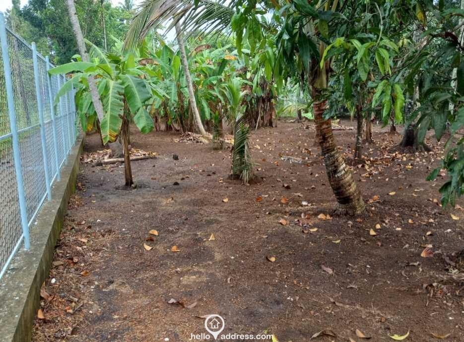 30 Cent Residential Land for Sale at Chennithala in Alappuzha Kerala