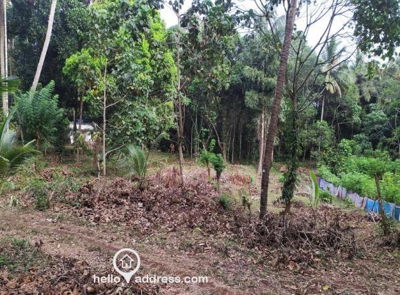 Residential Land for Sale