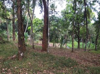 Residential Land for Sale in Thrissur, Thrissur, Poomala