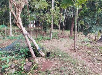 Residential Land for Sale in Thrissur, Thrissur, Poomala