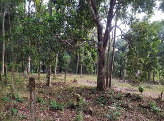 Residential Land for Sale in Thrissur, Thrissur, Poomala