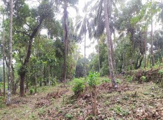 Residential Land for Sale in Thrissur, Thrissur, Poomala