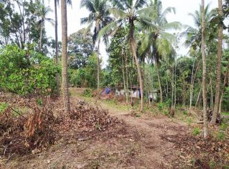 Residential Land for Sale in Thrissur, Thrissur, Poomala