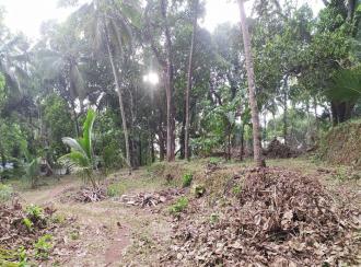 Residential Land for Sale in Thrissur, Thrissur, Poomala