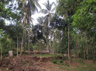 Residential Land for Sale in Thrissur, Thrissur, Poomala