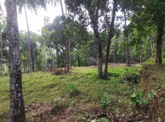 Residential Land for Sale in Thrissur, Thrissur, Poomala