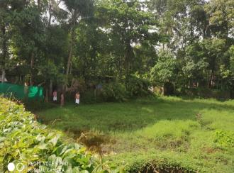 Commercial Land for Sale in Kottayam, Ettumanoor, Peroor, Kandanchira