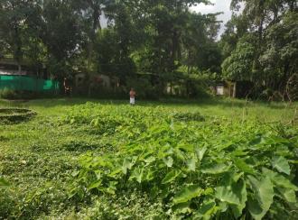 Commercial Land for Sale in Kottayam, Ettumanoor, Peroor, Kandanchira