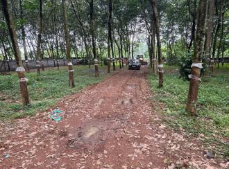 Residential Land for Sale in Pathanamthitta, Thiruvalla, Kizhakkanmuthoor