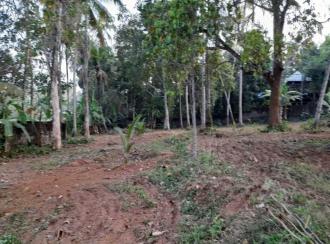 Agricultural Land for Sale in Thrissur, Mala, Puthenchira