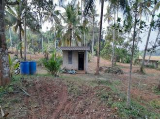 Agricultural Land for Sale in Thrissur, Mala, Puthenchira