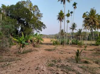 Agricultural Land for Sale in Thrissur, Mala, Puthenchira