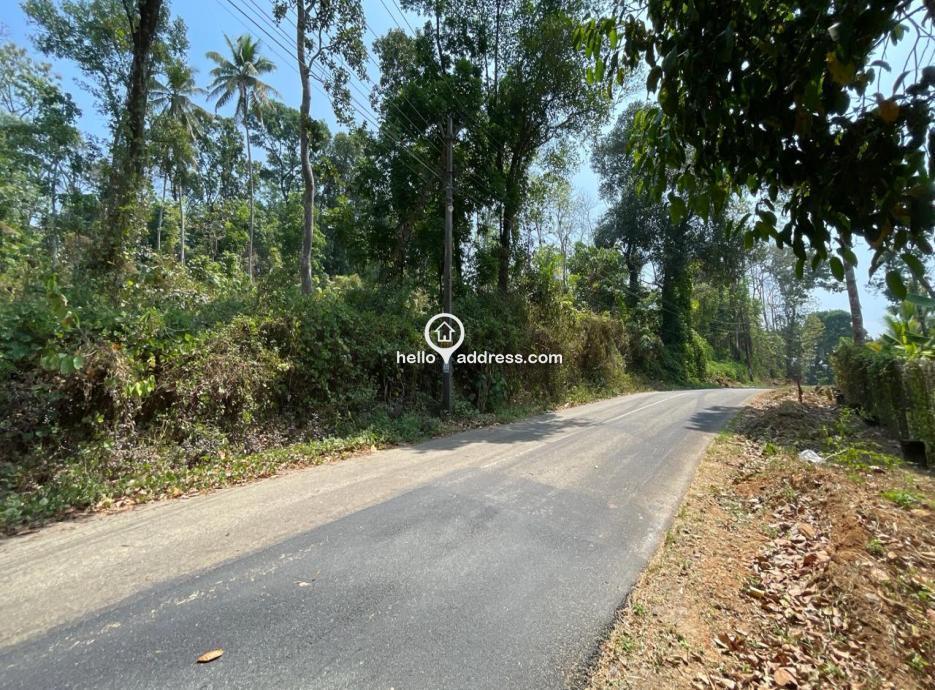 Agricultural Land for Sale in Kozhuvanal, Pala, Kottayam Real estate