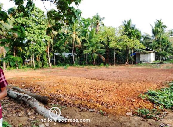 BEST RESIDENTIAL PLOT