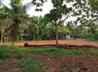 Residential Land for Sale in Ernakulam, Angamaly, Moozhikkulam