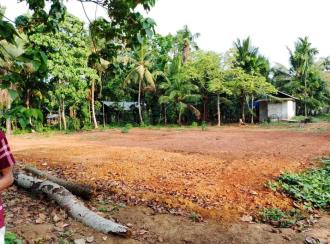 Residential Land for Sale in Ernakulam, Angamaly, Moozhikkulam