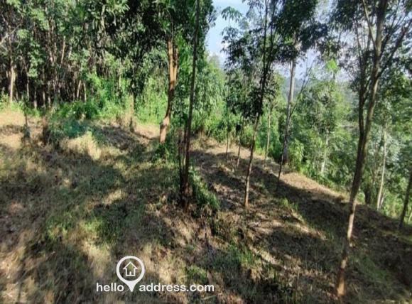 Agricultural Land for Sale