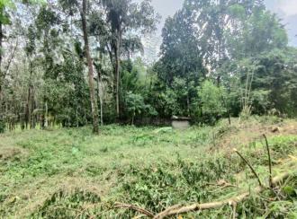 Residential Land for Sale in Pathanamthitta, Pathanamthitta, Elanthoor
