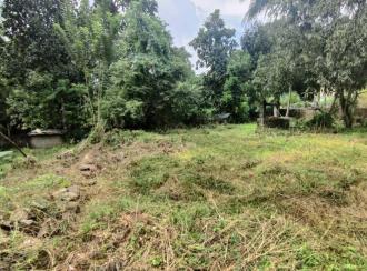 Residential Land for Sale in Pathanamthitta, Pathanamthitta, Elanthoor