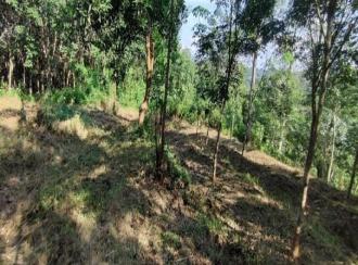 Agricultural Land for Sale