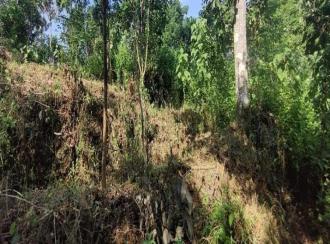 Agricultural Land for Sale in Pathanamthitta, Adoor, Adoor