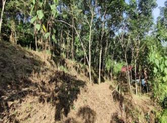Agricultural Land for Sale in Pathanamthitta, Adoor, Adoor