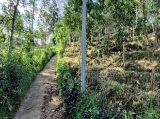 Agricultural Land for Sale in Pathanamthitta, Adoor, Adoor