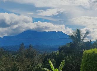 Residential House Villa for Sale in Wayanad, Sulthan bathery, Ambalavayal