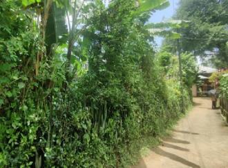 Residential Land for Sale in Pathanamthitta, Thiruvalla, Eraviperoor